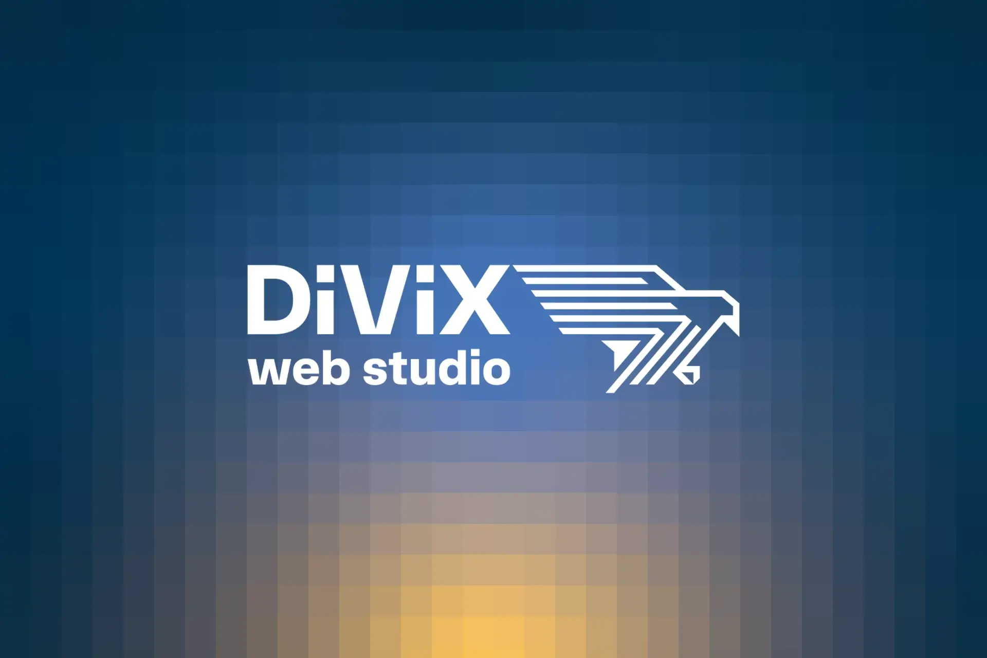 Contattaci Divix Web Studio
