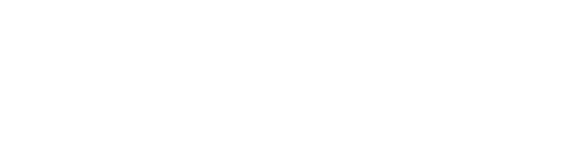 Divix Web Studio